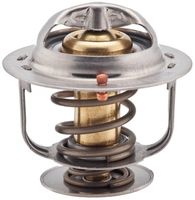 Thermostat, Kühlmittel