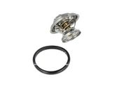 Thermostat, Kühlmittel