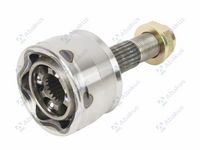 Article Picture