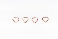 Gasket, intake manifold