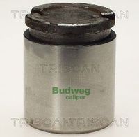 Kolben, Bremssattel