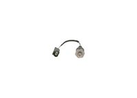 Sensor, Kraftstoffdruck