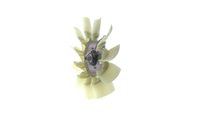 Thumbnail - Koelventilatorwiel - CFF507000P - MAHLE