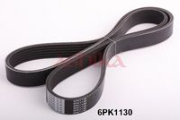 Curea transmisie cu caneluri ASHIKA, Cod: 112-6PK1130