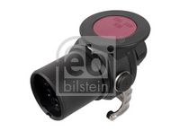 Stecker