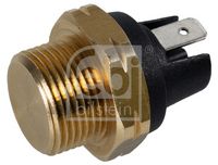 Temperature Switch, radiator fan
