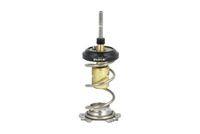 Thermostat, Kühlmittel
