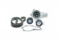 Set pompa apa + curea dintata AISIN, Cod: TKPS-7031
