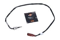 Sensor, Abgastemperatur