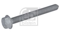 Schraube, Spannrolle