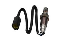 ламбда-сонда