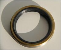 Wellendichtring, Differential