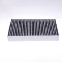 Filtru polen aer habitaclu MTR, Cod: 12138400