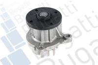 Wasserpumpe, Motorkühlung