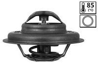 Thermostat, Kühlmittel