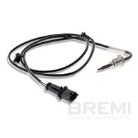 Sensor, Abgastemperatur