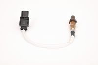 Article Picture