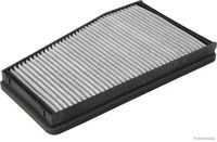 Filter, Innenraumluft