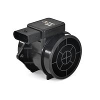 DELPHI Luchtmassameter 5