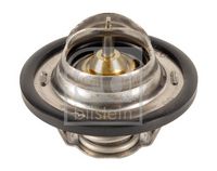 Thermostat, Kühlmittel