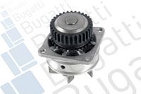 Wasserpumpe, Motorkühlung