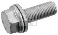 Schraube, Bremssattel