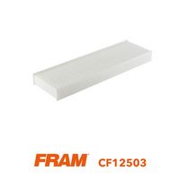 Филтър купе (поленов филтър)