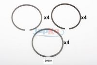 бутален пръстен (сегмент)