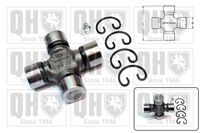 Achsstern, Ausgleichskegelrad-Differential