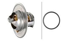 Thermostat, Kühlmittel