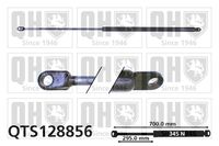 Gasfeder, Koffer-/Laderaum