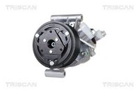 Compresor, climatizare TRISCAN, Cod: 9020 14016
