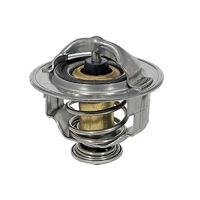 Thermostat, Kühlmittel