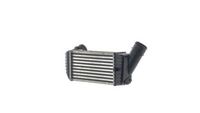 Thumbnail - Intercooler, inlaatluchtkoeler - CI66000S - MAHLE