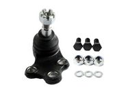 Trag-/Führungsgelenk