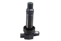 запалителна бобина