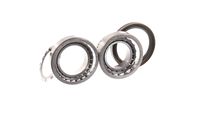 Set rulment roata SKF, Cod: VKBA 3475