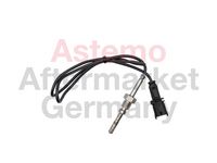 Sensor, Abgastemperatur