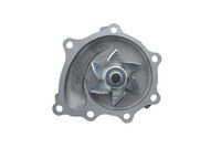 Wasserpumpe, Motorkühlung