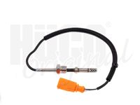 Sensor, Abgastemperatur