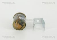 TRISCAN Knipperlichtautomaat, pinkdoos 1