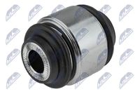 Article Picture