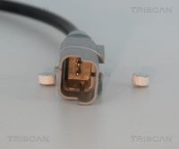 Article Picture