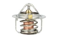 Thermostat, Kühlmittel