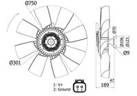 Thumbnail - Koelventilatorwiel - CFF421000S - MAHLE