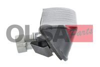 OLSA Aftermarket Kentekenlamp 3