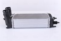 Article Picture