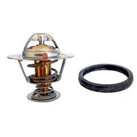 Thermostat, Kühlmittel