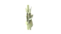 Thumbnail - Koelventilatorwiel - CFW37000P - MAHLE