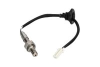 ламбда-сонда